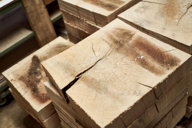 Hirnholz Detailbild