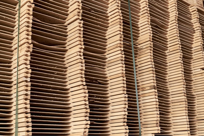 Bohleneiche Detailbild